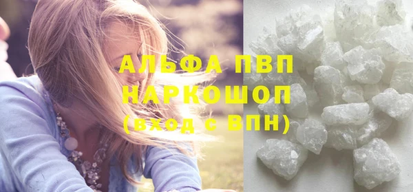 прущие грибы Аркадак