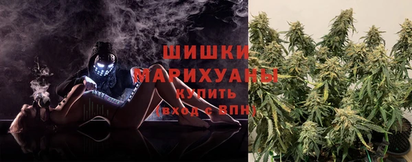 прущие грибы Аркадак