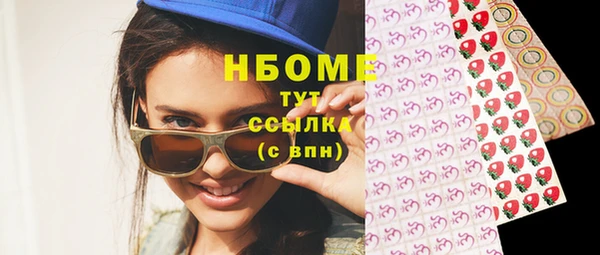 прущие грибы Аркадак