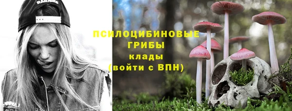 2c-b Арсеньев